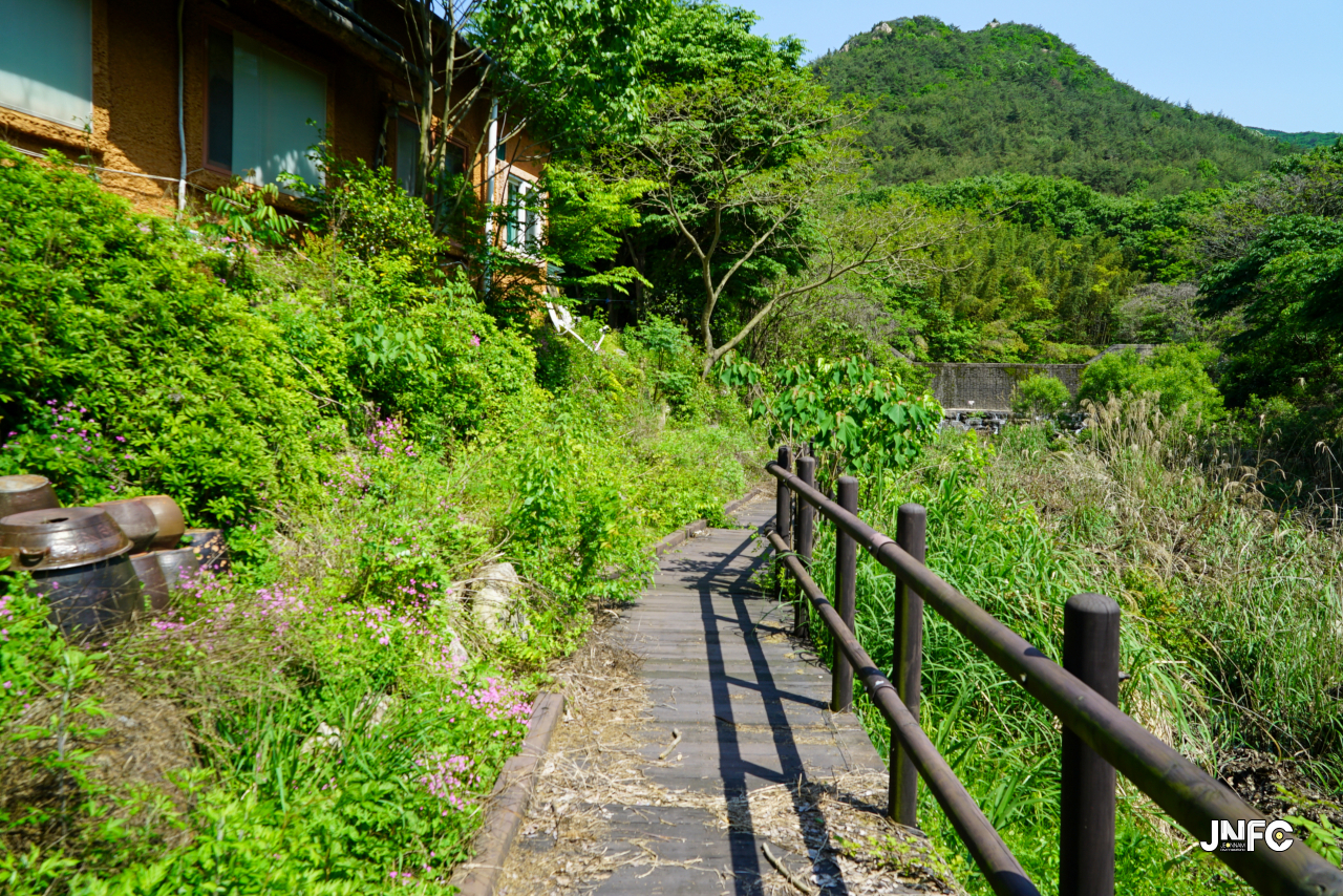 jnfc_5631_130830.jpg