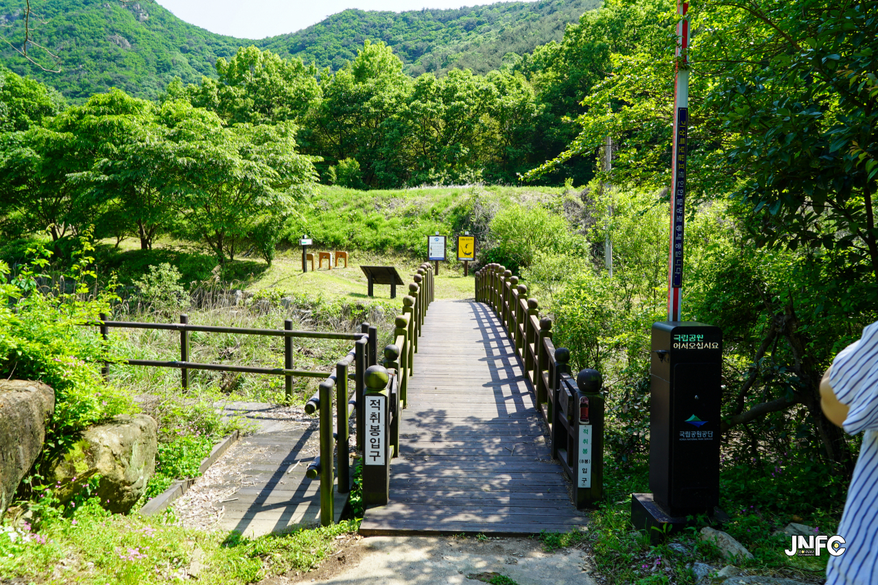 jnfc_5631_130831.jpg