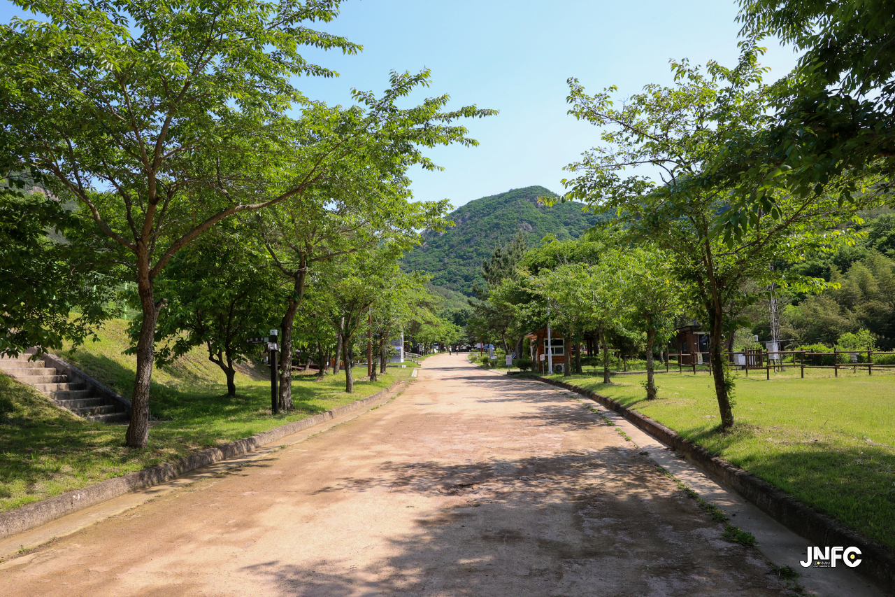 jnfc_5631_130832.jpg