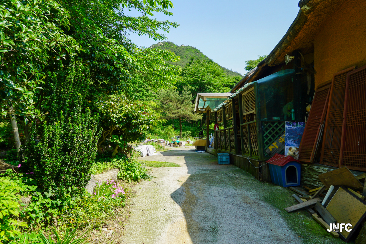 jnfc_5631_130833.jpg