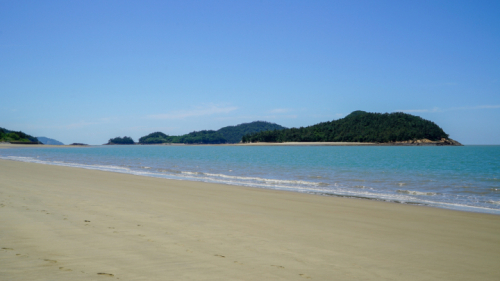 임자도 대광해수욕장