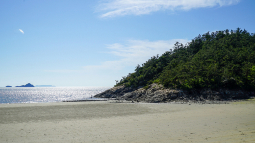 임자도 도찬리 해변