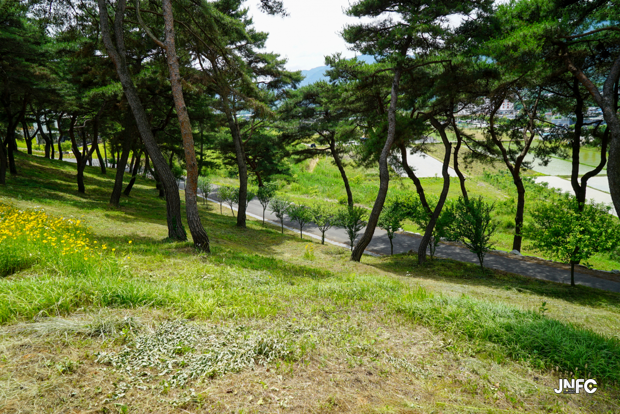 jnfc_5642_133344.jpg