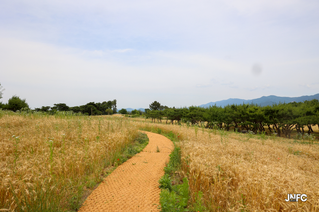 jnfc_5642_133345.jpg