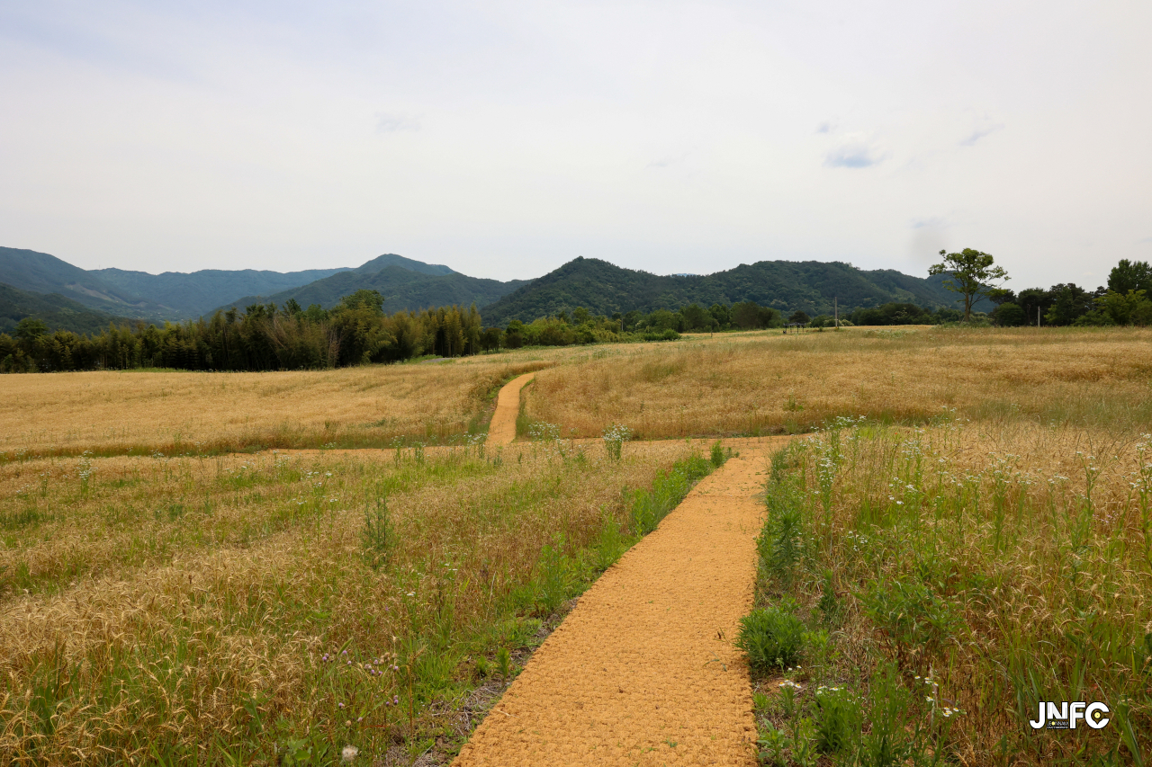 jnfc_5642_133346.jpg