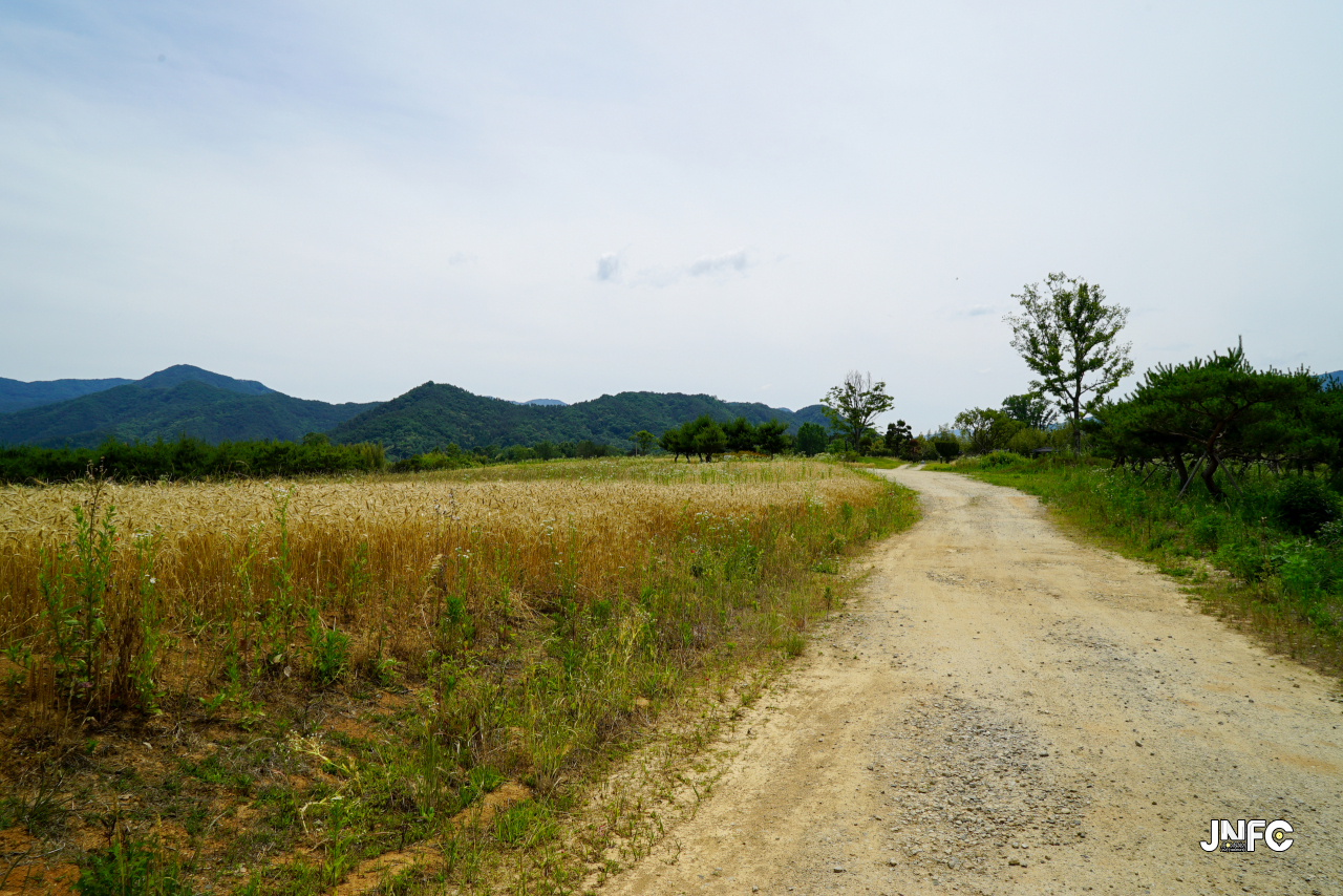 jnfc_5642_133347.jpg
