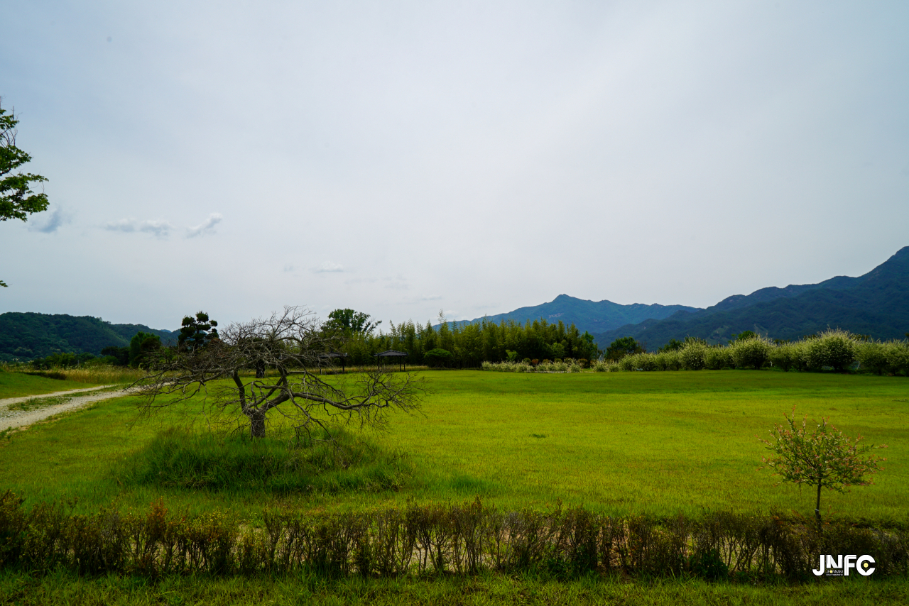 jnfc_5642_133348.jpg