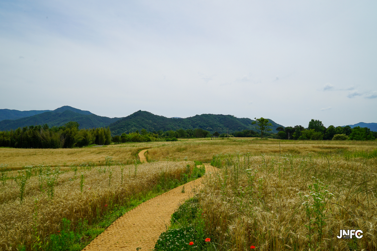 jnfc_5642_133349.jpg