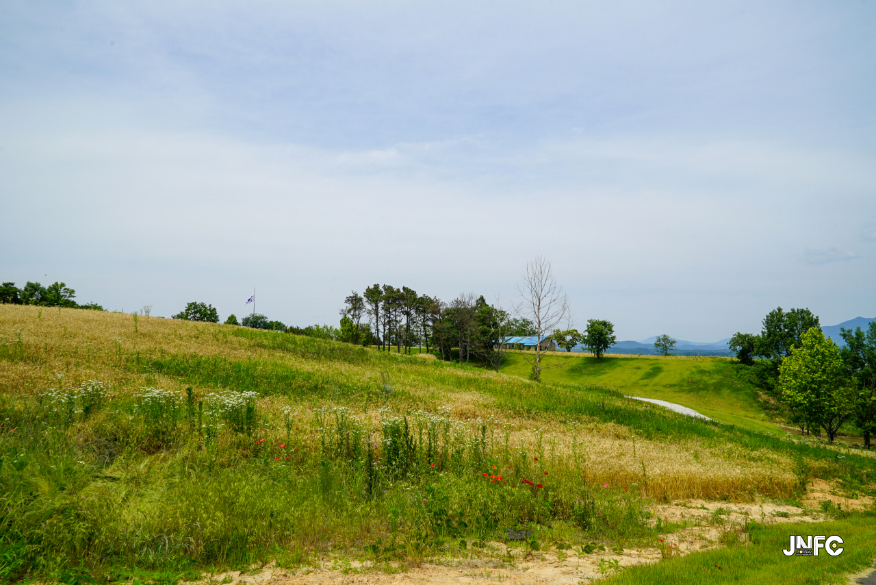 jnfc_5642_133350.jpg