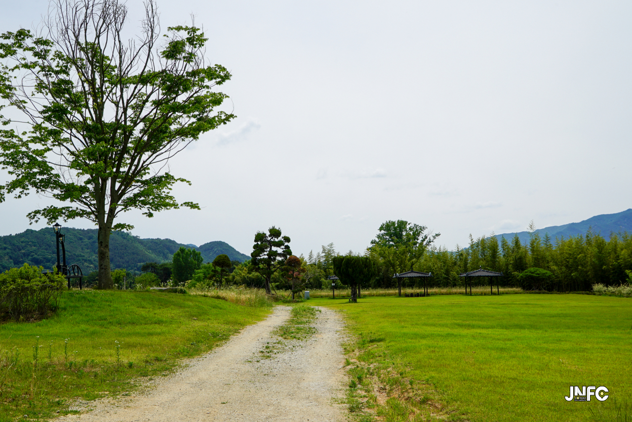 jnfc_5642_133352.jpg