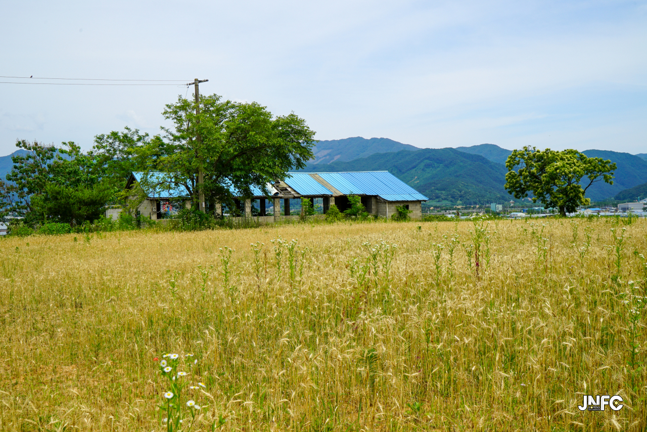 jnfc_5642_133353.jpg
