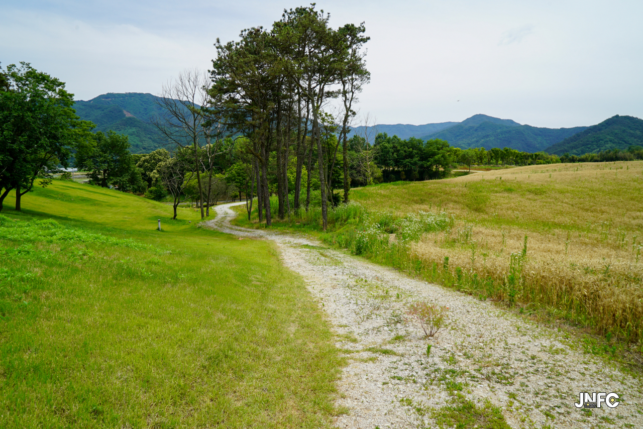 jnfc_5642_133355.jpg