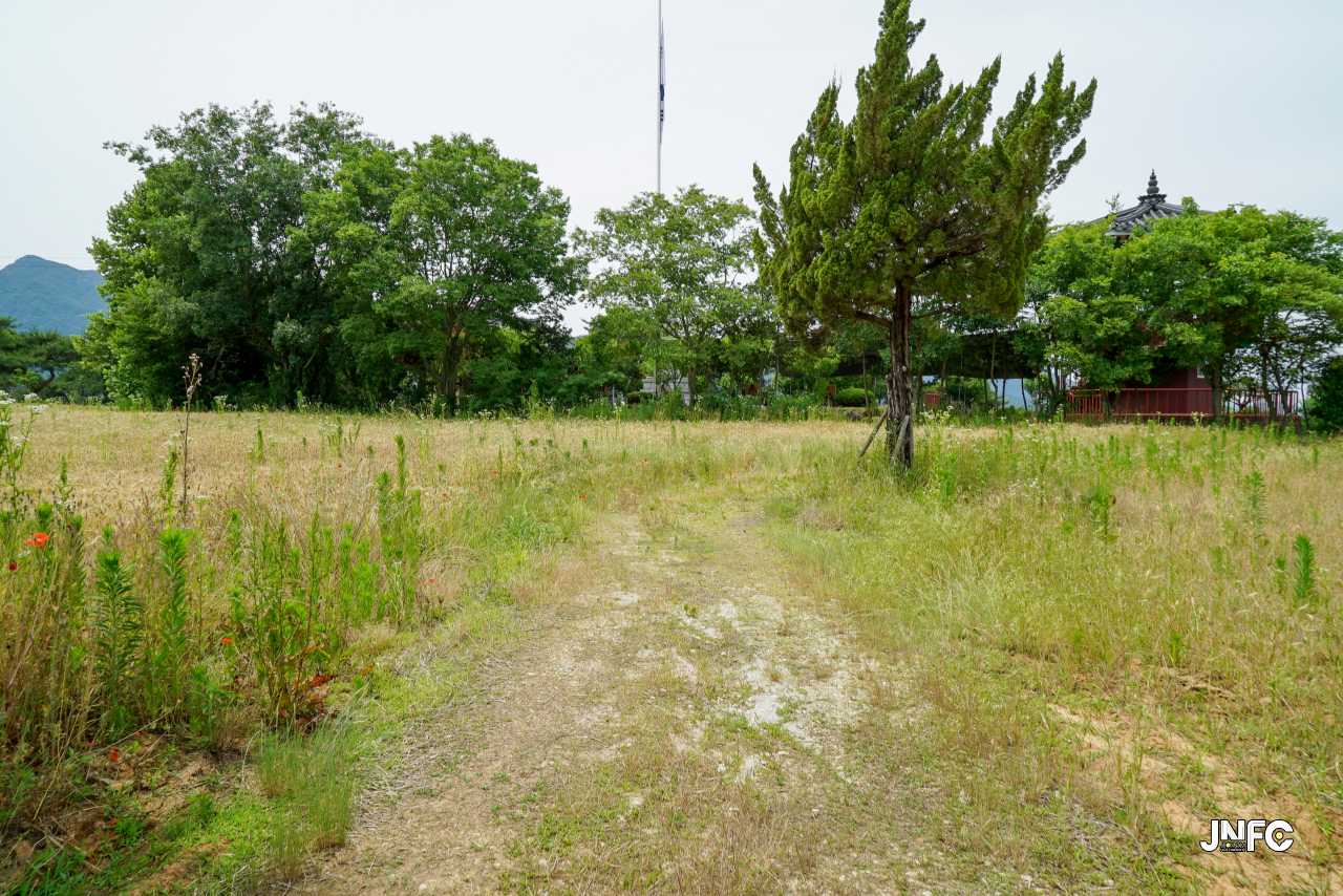 jnfc_5642_133358.jpg