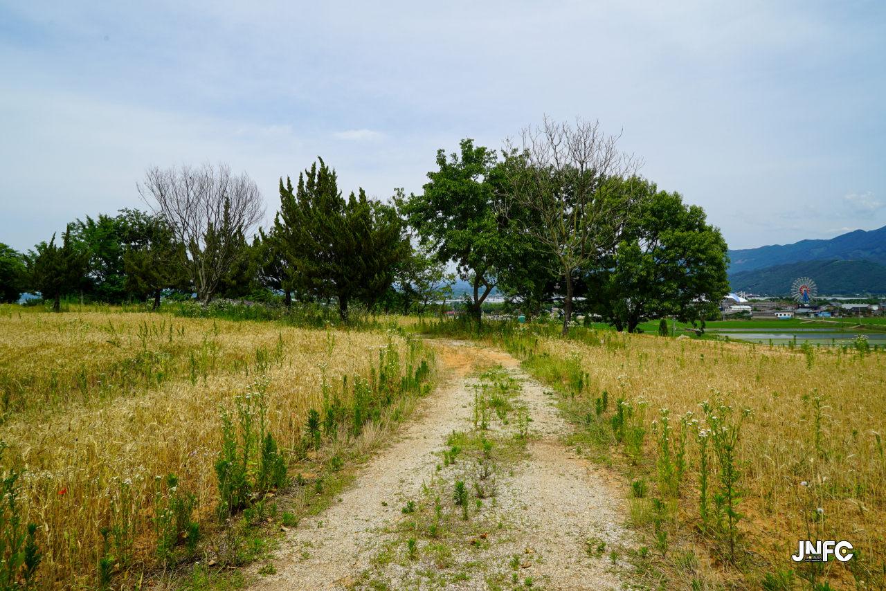 jnfc_5642_133360.jpg