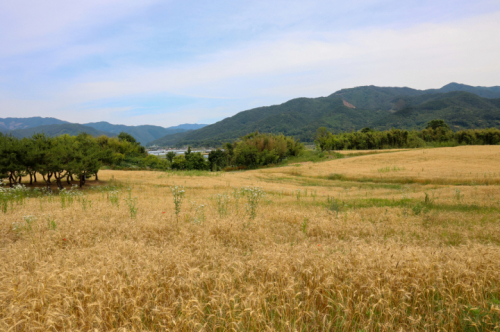 곡성 동화정원(충의공원)