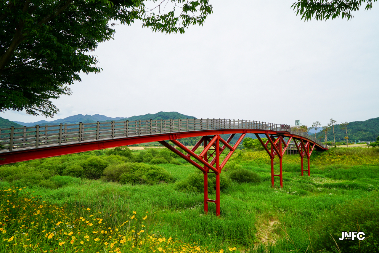 jnfc_5645_133414.jpg