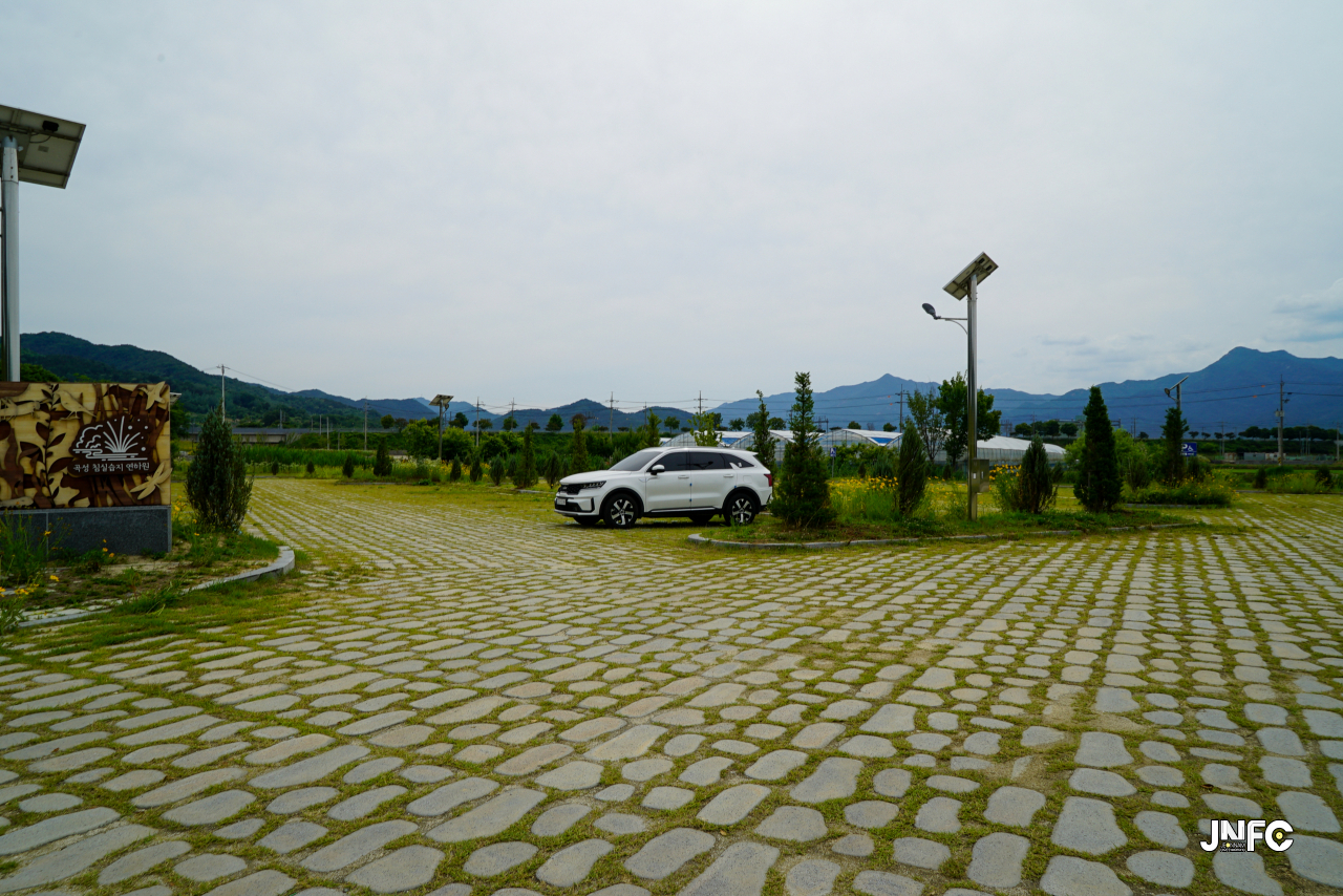jnfc_5645_133417.jpg
