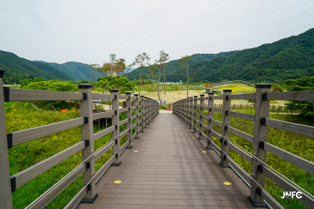 jnfc_5645_133418.jpg