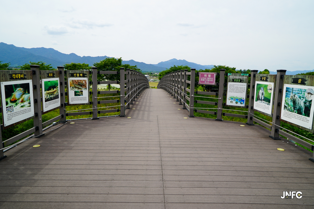 jnfc_5645_133419.jpg