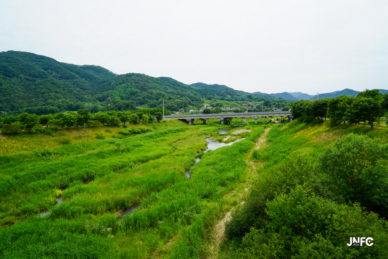 jnfc_5645_133423.jpg