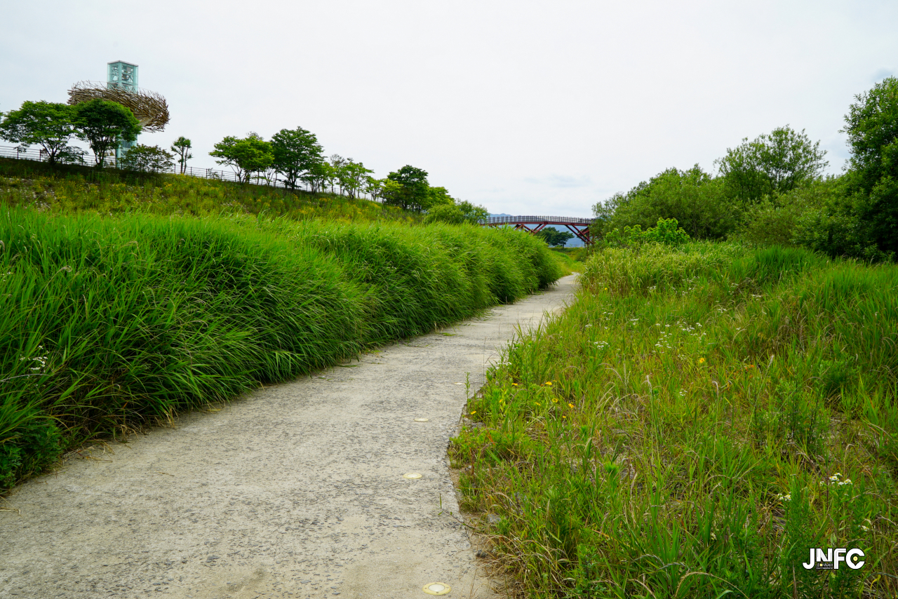 jnfc_5645_133424.jpg
