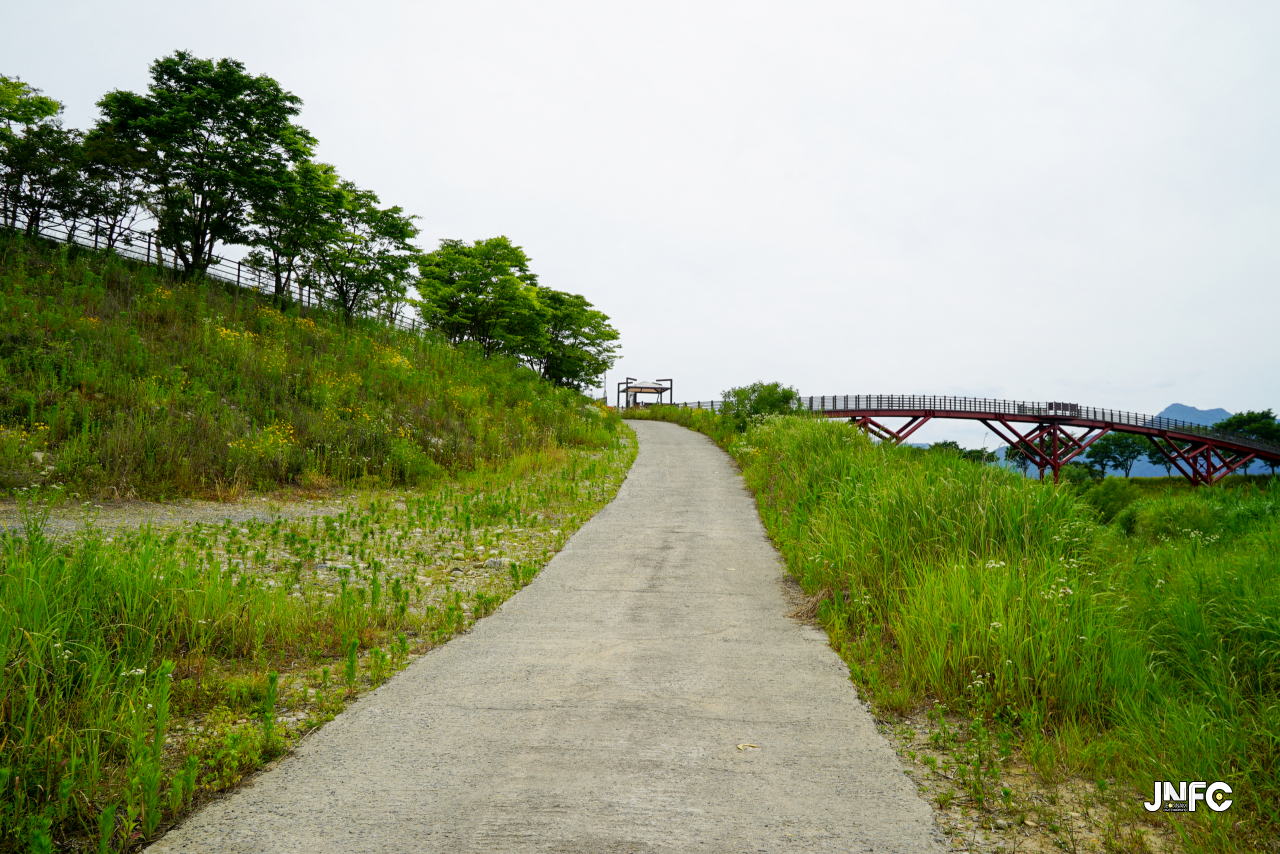 jnfc_5645_133425.jpg