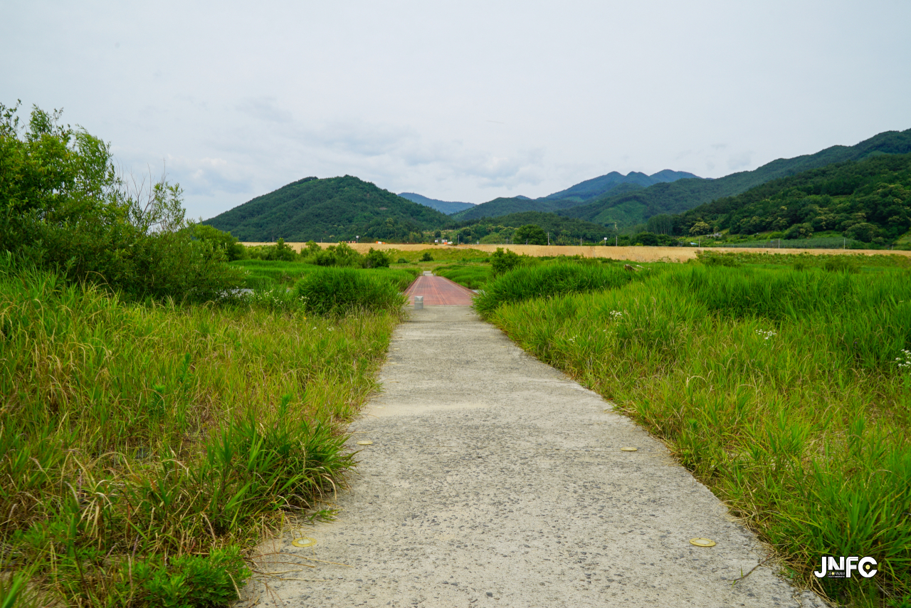 jnfc_5645_133426.jpg