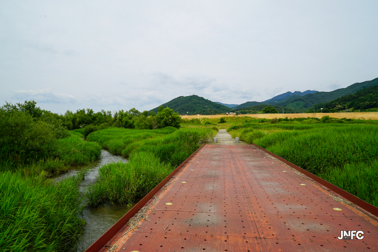 jnfc_5645_133430.jpg