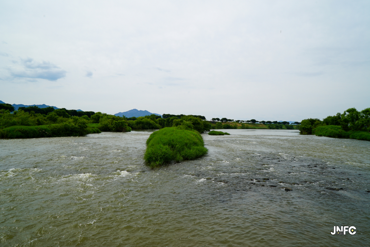 jnfc_5645_133436.jpg