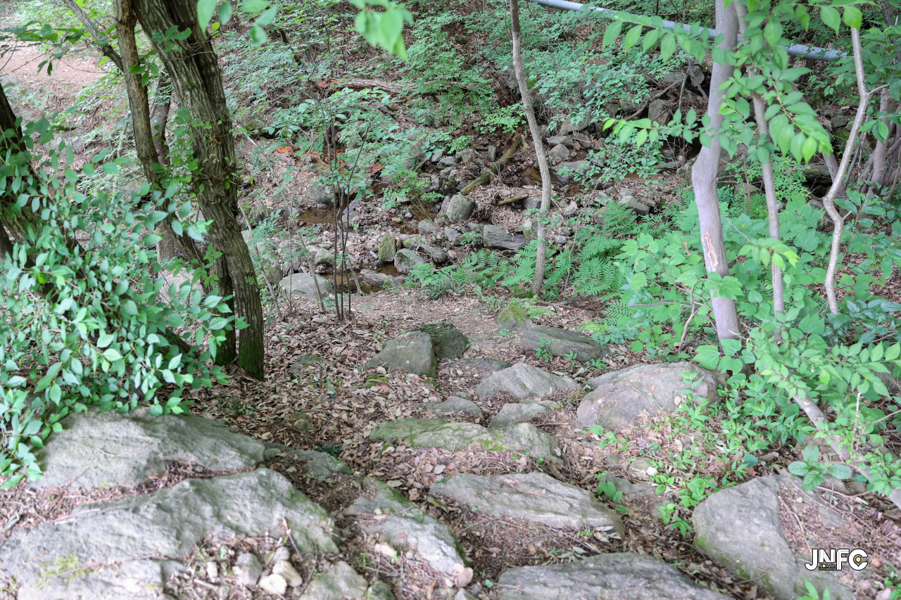 jnfc_5646_133295.jpg