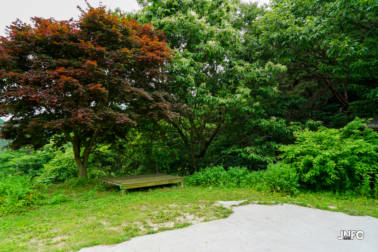 jnfc_5646_133297.jpg