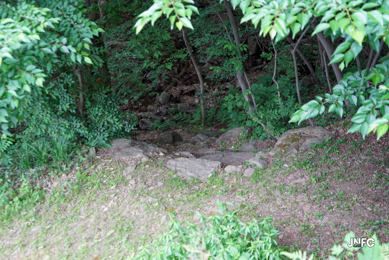 jnfc_5646_133300.jpg