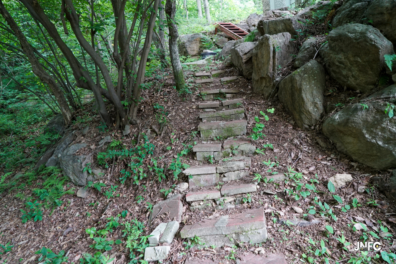 jnfc_5646_133304.jpg