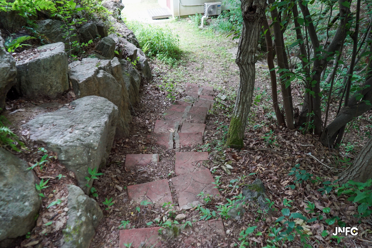 jnfc_5646_133305.jpg