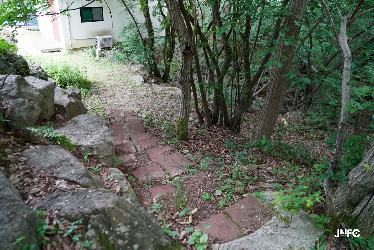 jnfc_5646_133308.jpg