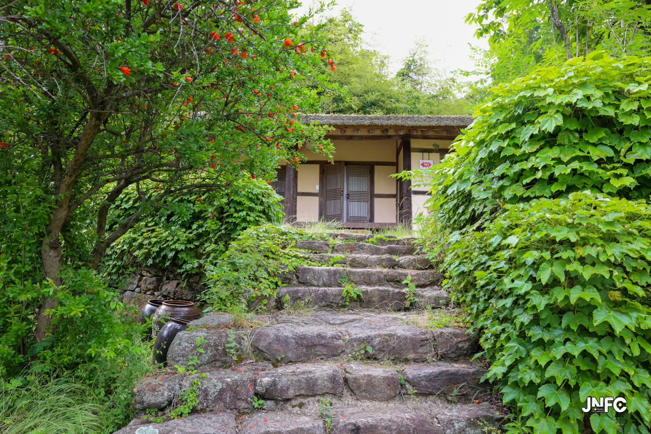 jnfc_5647_133309.jpg