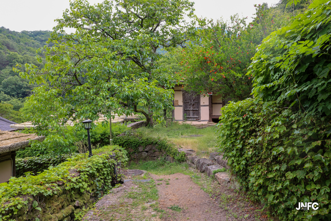 jnfc_5647_133310.jpg