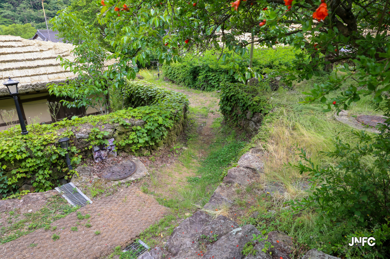 jnfc_5647_133312.jpg
