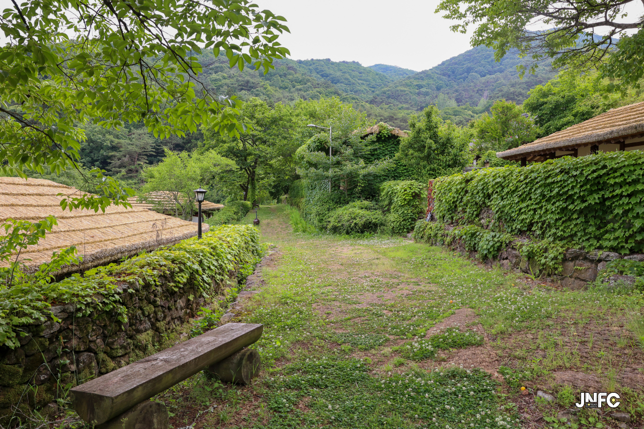 jnfc_5647_133314.jpg