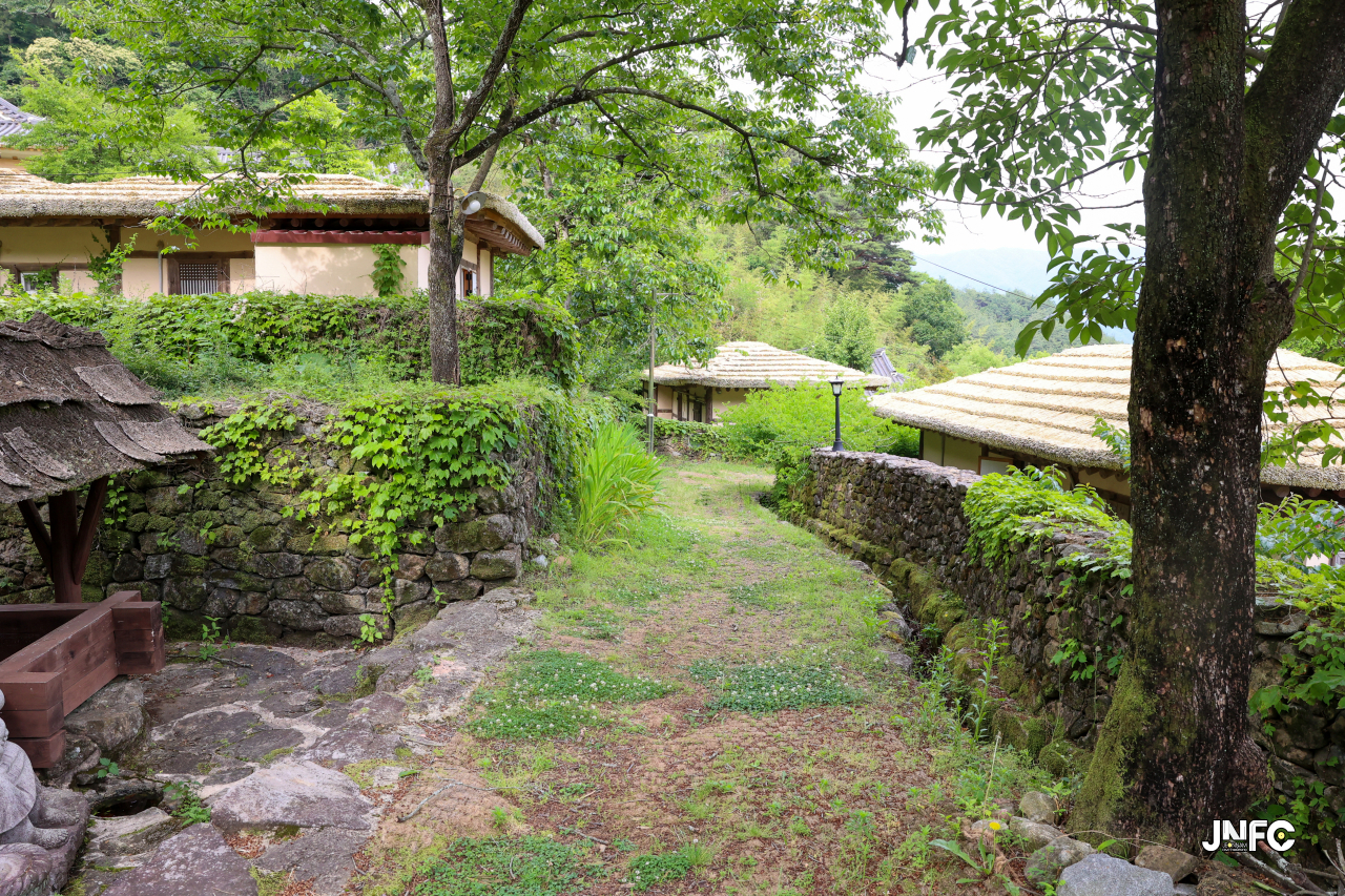 jnfc_5647_133315.jpg