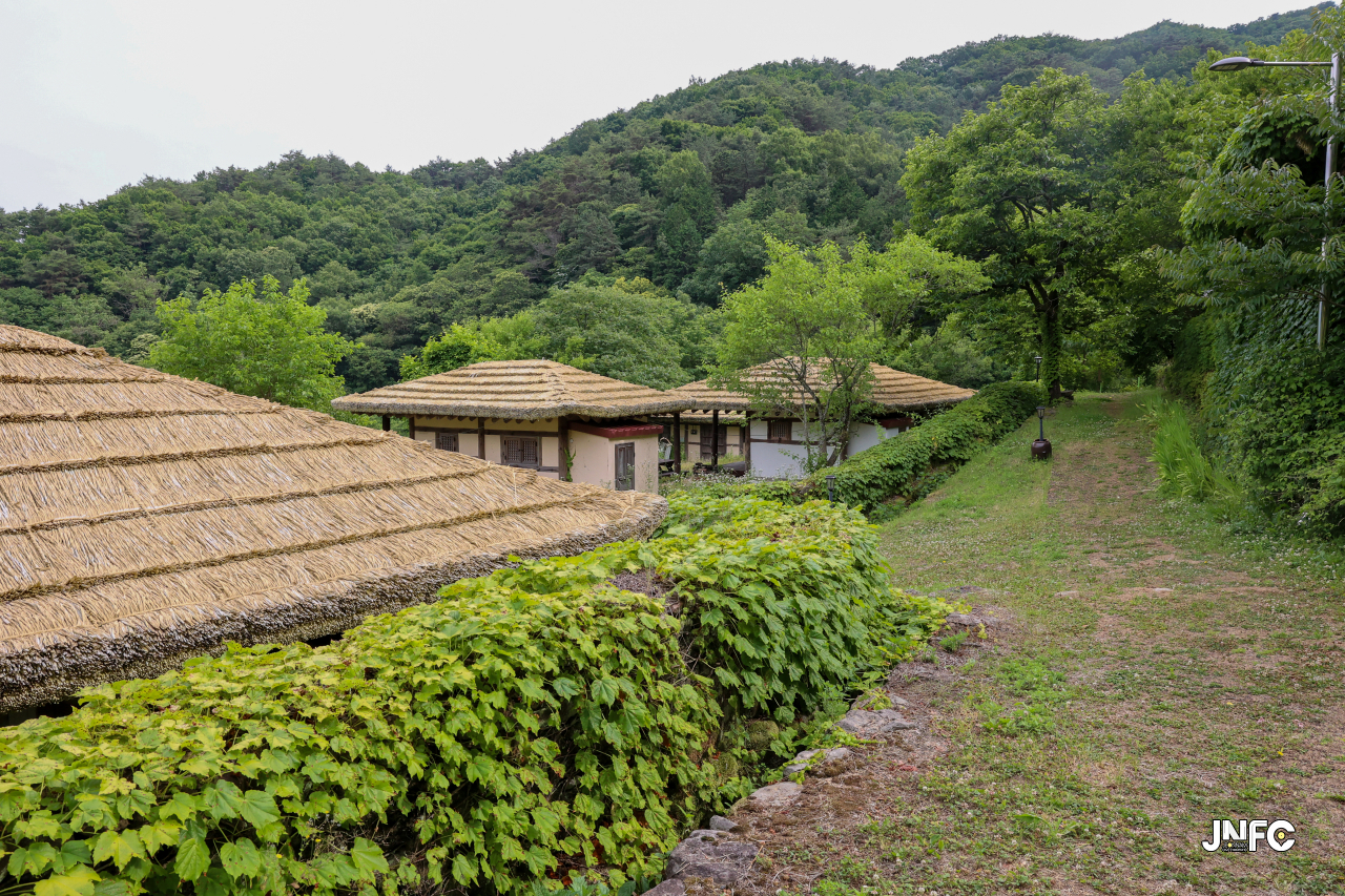 jnfc_5647_133318.jpg
