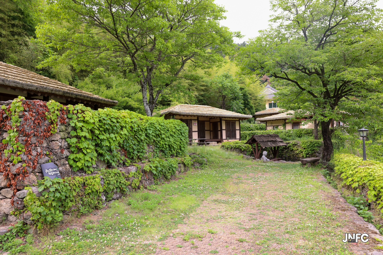 jnfc_5647_133319.jpg