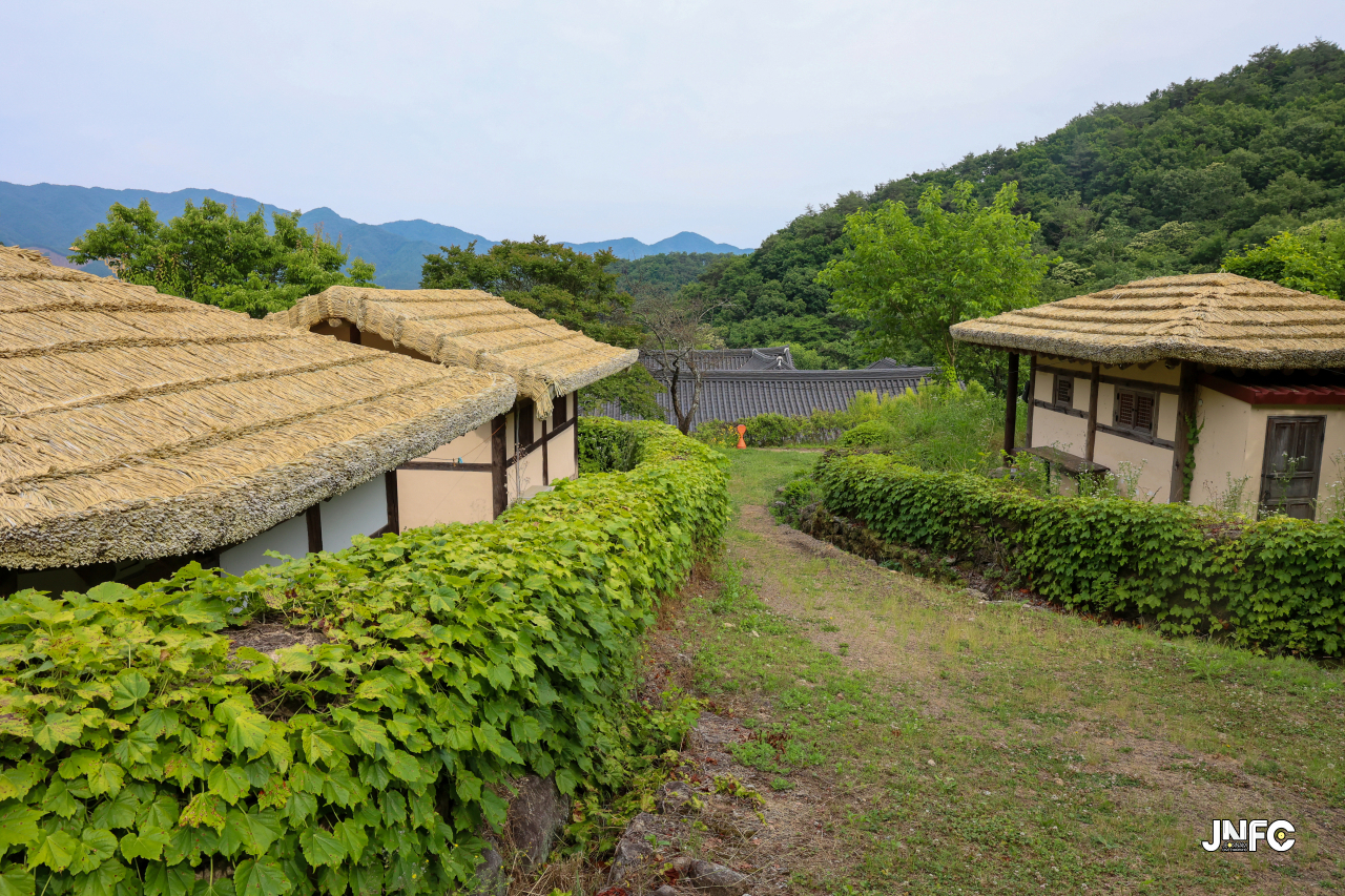 jnfc_5647_133320.jpg