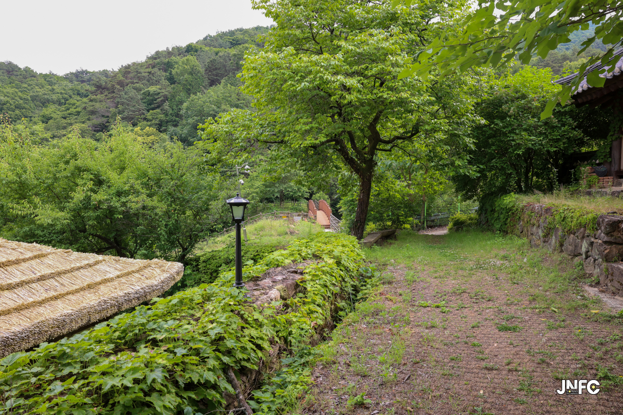 jnfc_5647_133322.jpg
