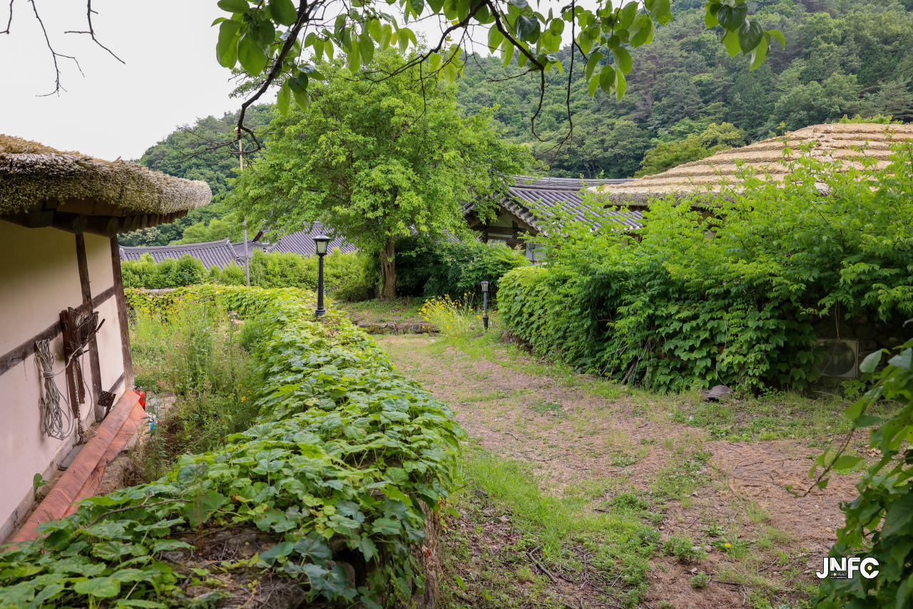 jnfc_5647_133324.jpg