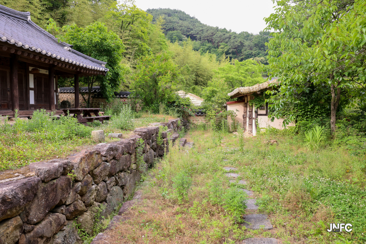 jnfc_5647_133326.jpg