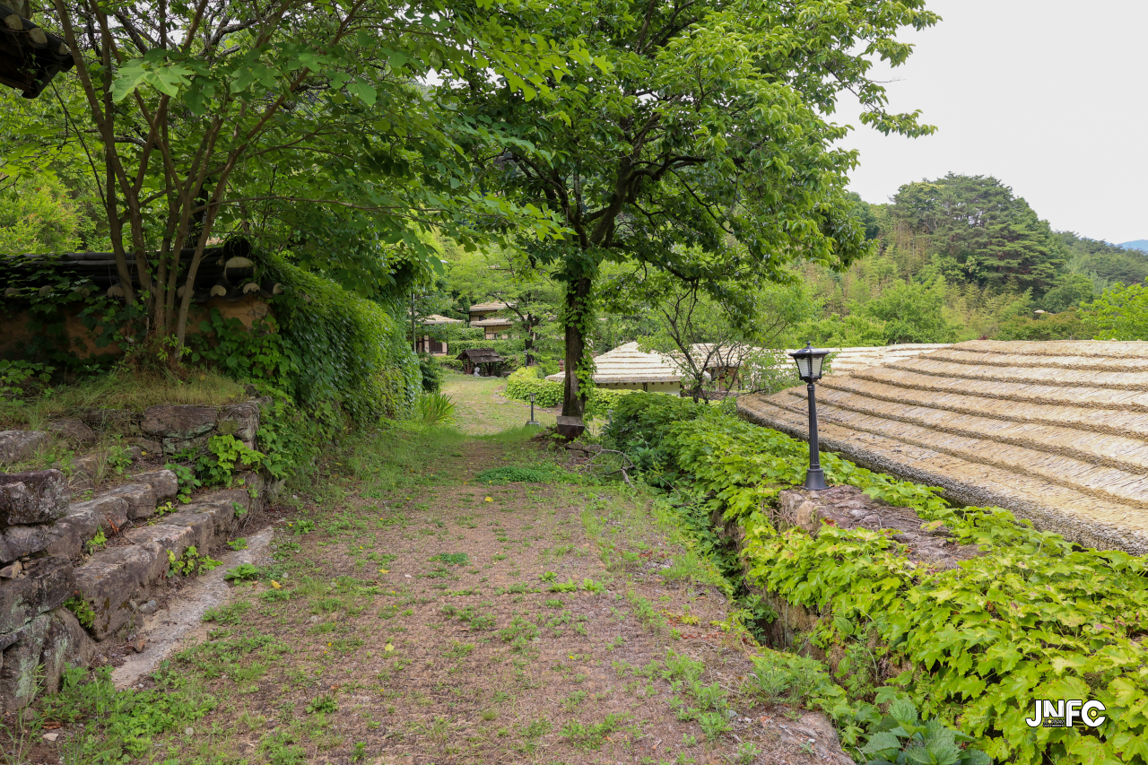 jnfc_5647_133330.jpg