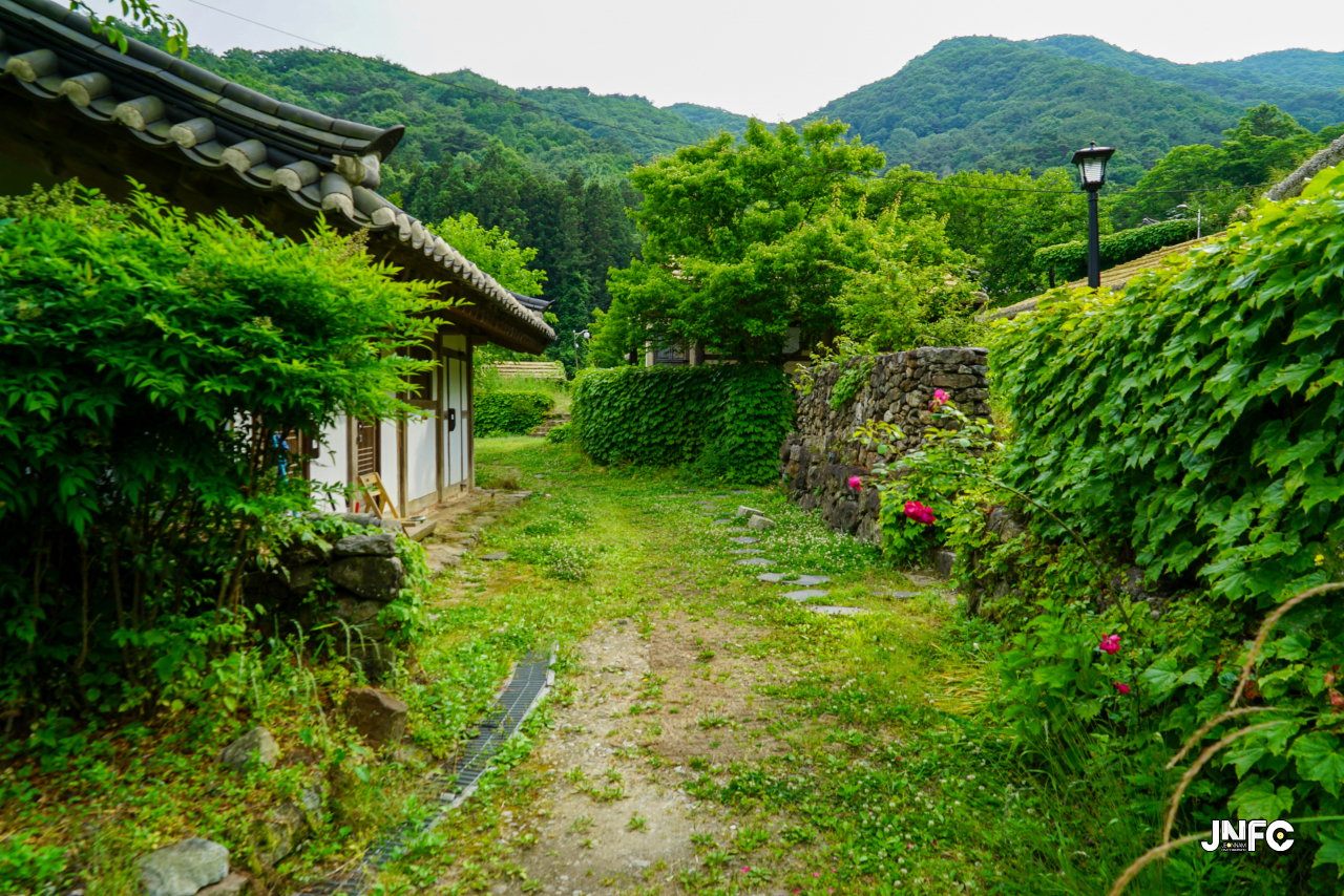 jnfc_5647_133332.jpg