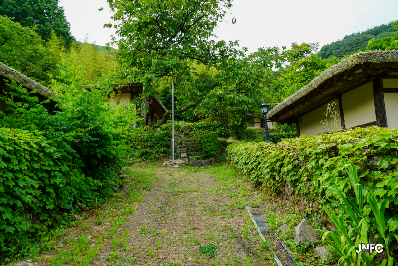 jnfc_5647_133333.jpg