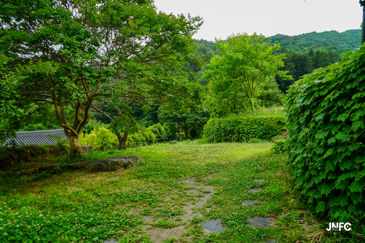 jnfc_5647_133335.jpg